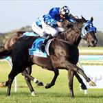 Stable favourite Shadow Ninja fires first up Stable favourite Shadow Ninja fires first up